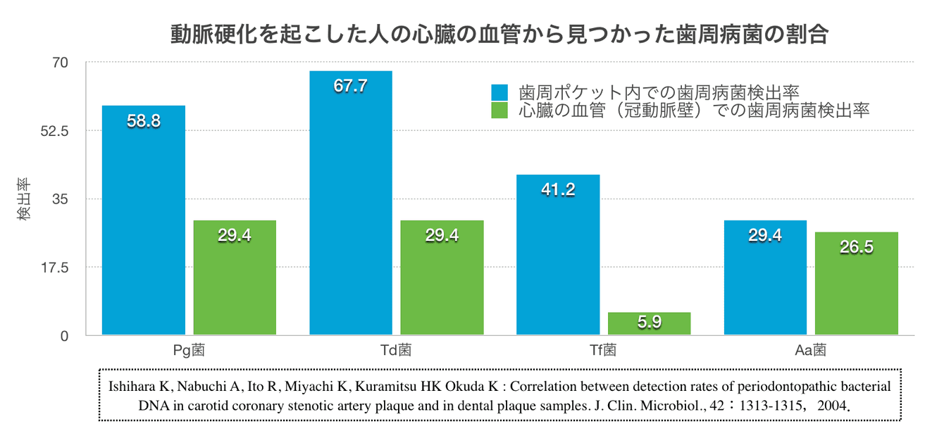 動脈硬化を起こした人の心臓の血管から見つかった歯周病菌の割合