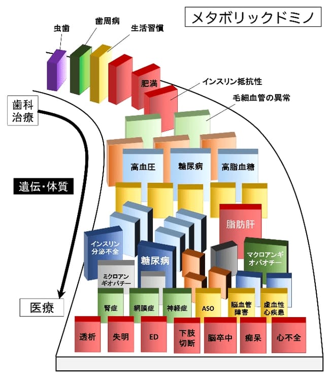 負の病気の連鎖『メタボリックドミノ』