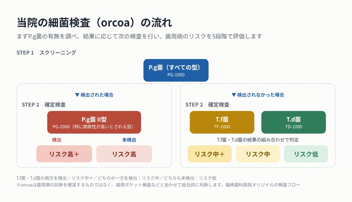 歯周病の細菌検査orcoa(オルコア)とは?45分でわかる歯周病菌リスクを歯周病専門医が解説