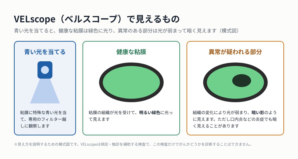 VELscopeで見える健康な粘膜と異常が疑われる部分の違い